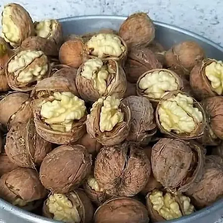 Doktori アパート *